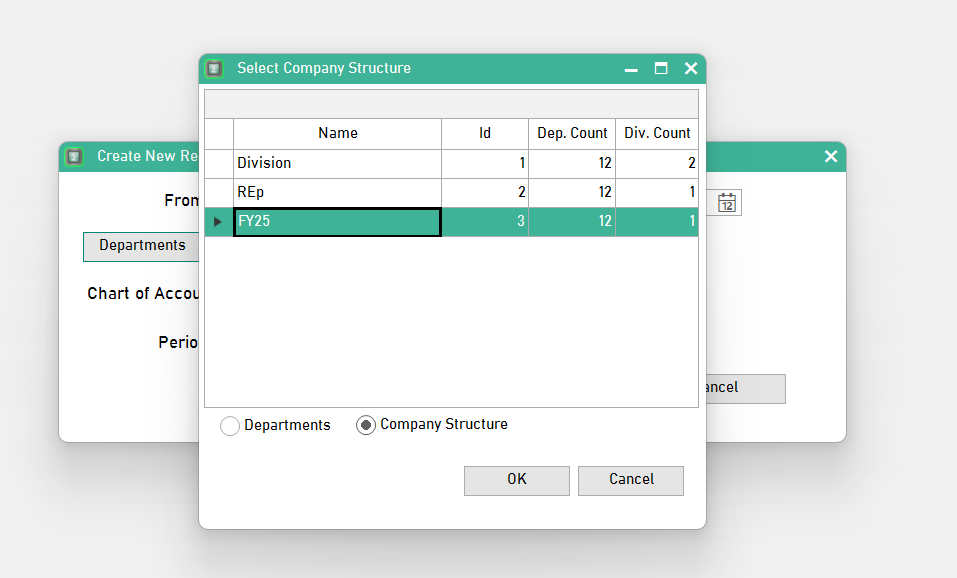 Select Company Structure